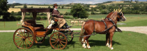 Sposa in carrozza - il calesse