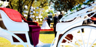 Sposa in carrozza per matrimonio da favola, romantico ed elegante