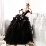ginger_nero