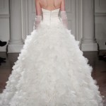 DALIA-back-low