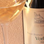 pinot-bianco-vorberg
