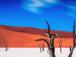 Viaggio di nozze all’avventura: Dune Express (Namibia Sossusvlei)