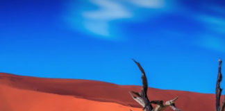 Viaggio di nozze all’avventura: Dune Express, dal Sudafrica alla Namibia Viaggio di nozze all’avventura: Dune Express (Namibia Sossusvlei)