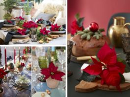 Decorazioni a tavola, con la Stella di Natale