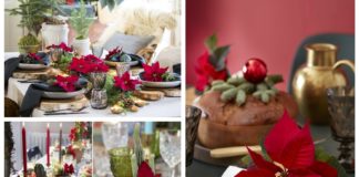 Decorazioni: Stelle di Natale, mise en place e armonie di addobbi Decorazioni a tavola, con la Stella di Natale