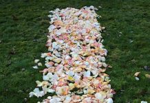 Quanti petali di rose occorrono per la passatoia per il matrimonio?