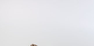 Scarpe da sposa online, per un acquisto in piena serenità