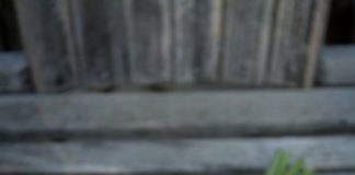 Bouquet sposa color pesca, pronte a scegliere il vostro? Bouquet sposa color pesca - tulipani