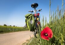 Addio al celibato green, idee simpatiche ed ecologiche Addio al celibato green