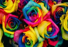 Decorazioni floreali di carta al matrimonio: 6 idee simpatiche Decorazioni floreali di carta