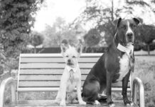 Idee estroverse per le foto da matrimonio: come rompere gli schemi! idee estroverse per le foto da matrimonio