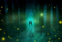 Come organizzare un matrimonio fantasy sospeso tra sogno e realtà come organizzare un matrimonio fantasy