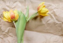 Cos’è il Paper Flowers, la tecnica per creare bellissimi fiori di carta per un matrimonio cos'è il paper flowers