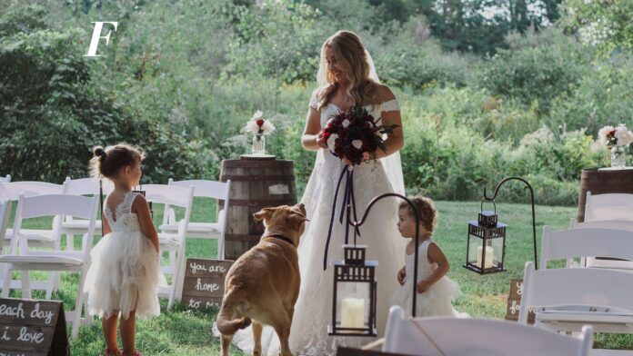 matrimoni pet friendly