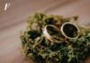 Come organizzare un matrimonio ecosostenibile nel 2026? Come organizzare un matrimonio ecosostenibile nel 2026