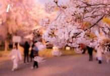 Quanto costa un viaggio di nozze in Giappone tra tradizione e modernità? Quanto costa un viaggio di nozze in Giappone